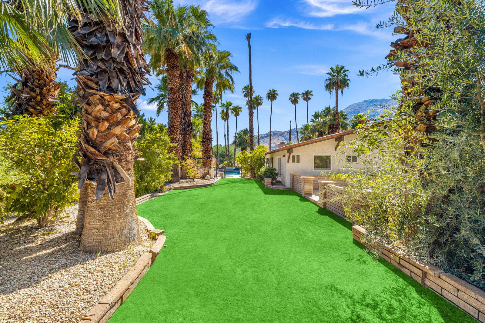 Green lawn lined with palms leading to the pool gate