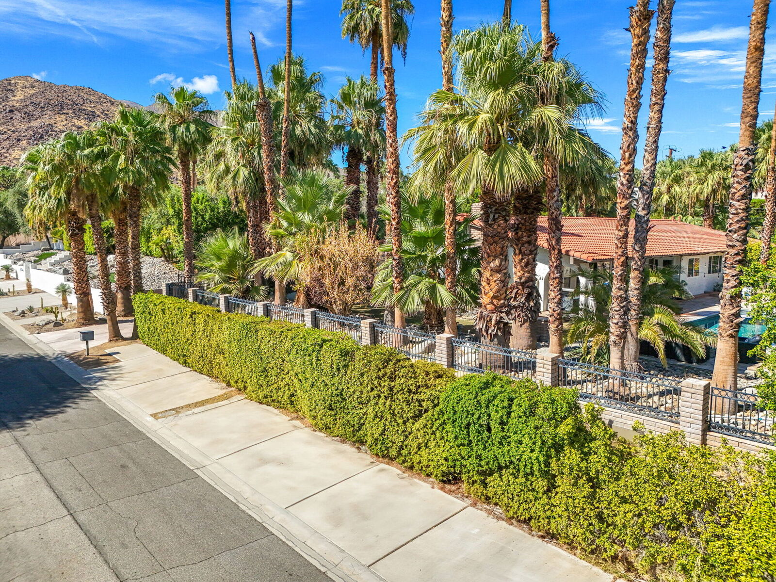 Villa 700 set among palms with the San Jacinto mountains rising behind the neighborhood